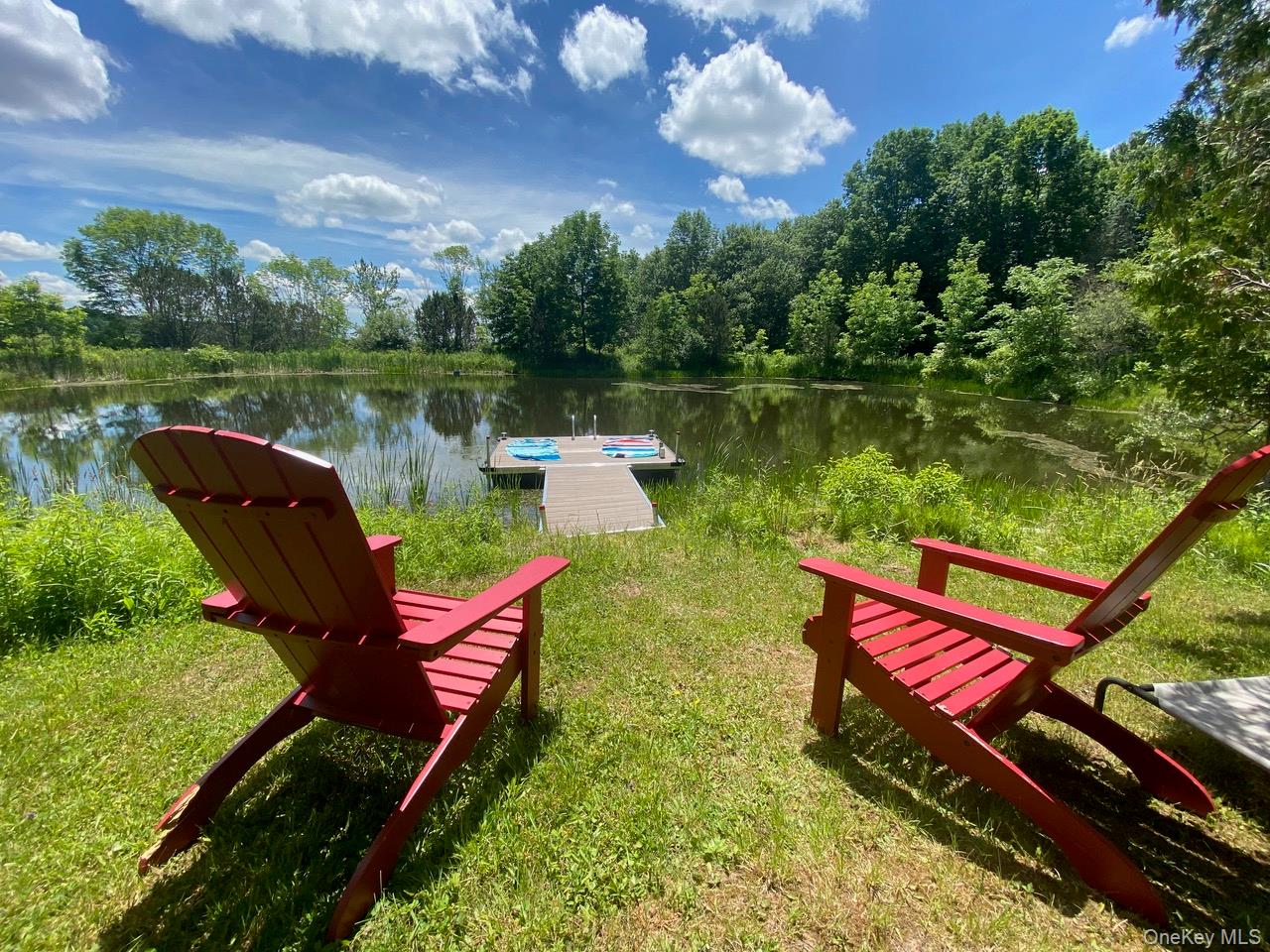 10 Elk Point Road Livingston Manor, NY 12758 - Photo 34 of 42