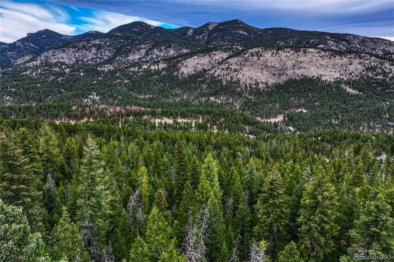 33864 Bergen View Trail Evergreen, CO 80439 - Photo 1 of 17 a view of city and mountain