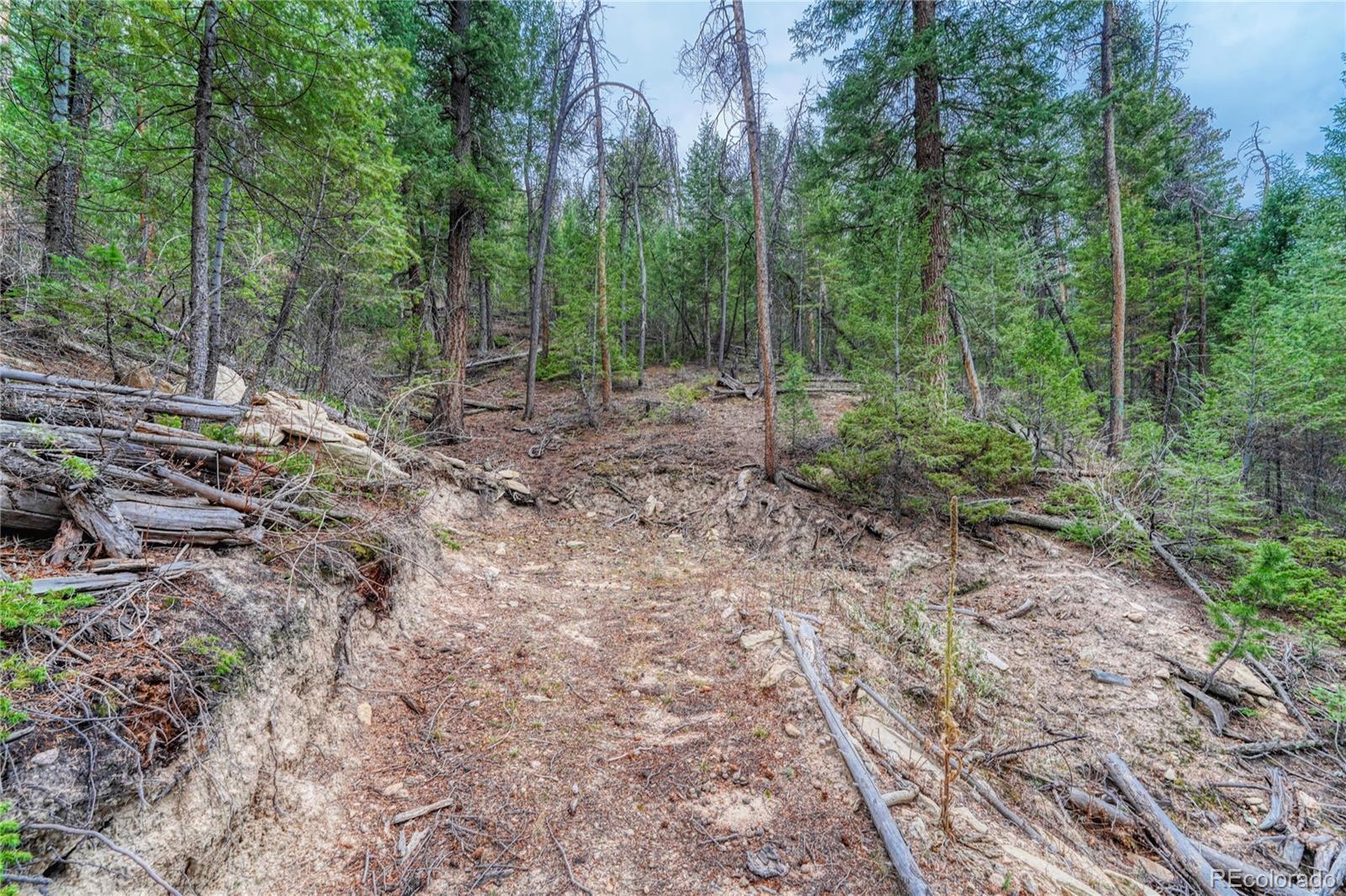 33864 Bergen View Trail Evergreen, CO 80439 - Photo 11 of 17 a view of a forest with trees in the background