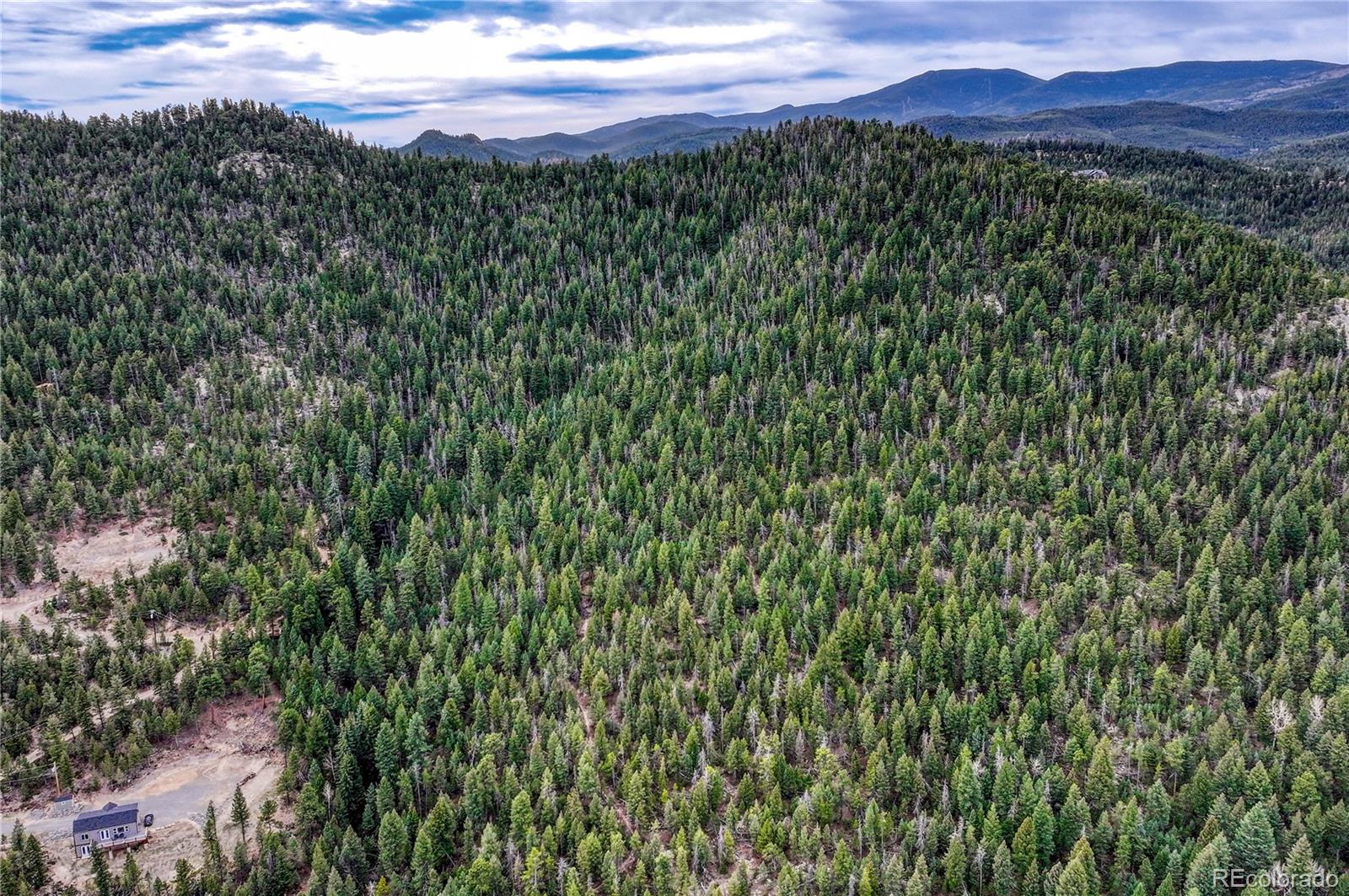 33864 Bergen View Trail Evergreen, CO 80439 - Photo 17 of 17 a view of a lush green forest with a mountain in the background