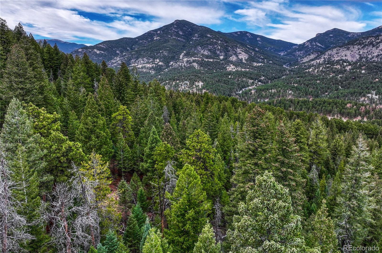 33864 Bergen View Trail Evergreen, CO 80439 - Photo 2 of 17 a view of a house with a mountain