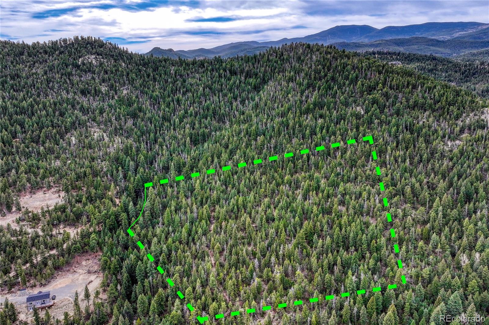33864 Bergen View Trail Evergreen, CO 80439 - Photo 4 of 17 a view of a lush green forest with a mountain in the background