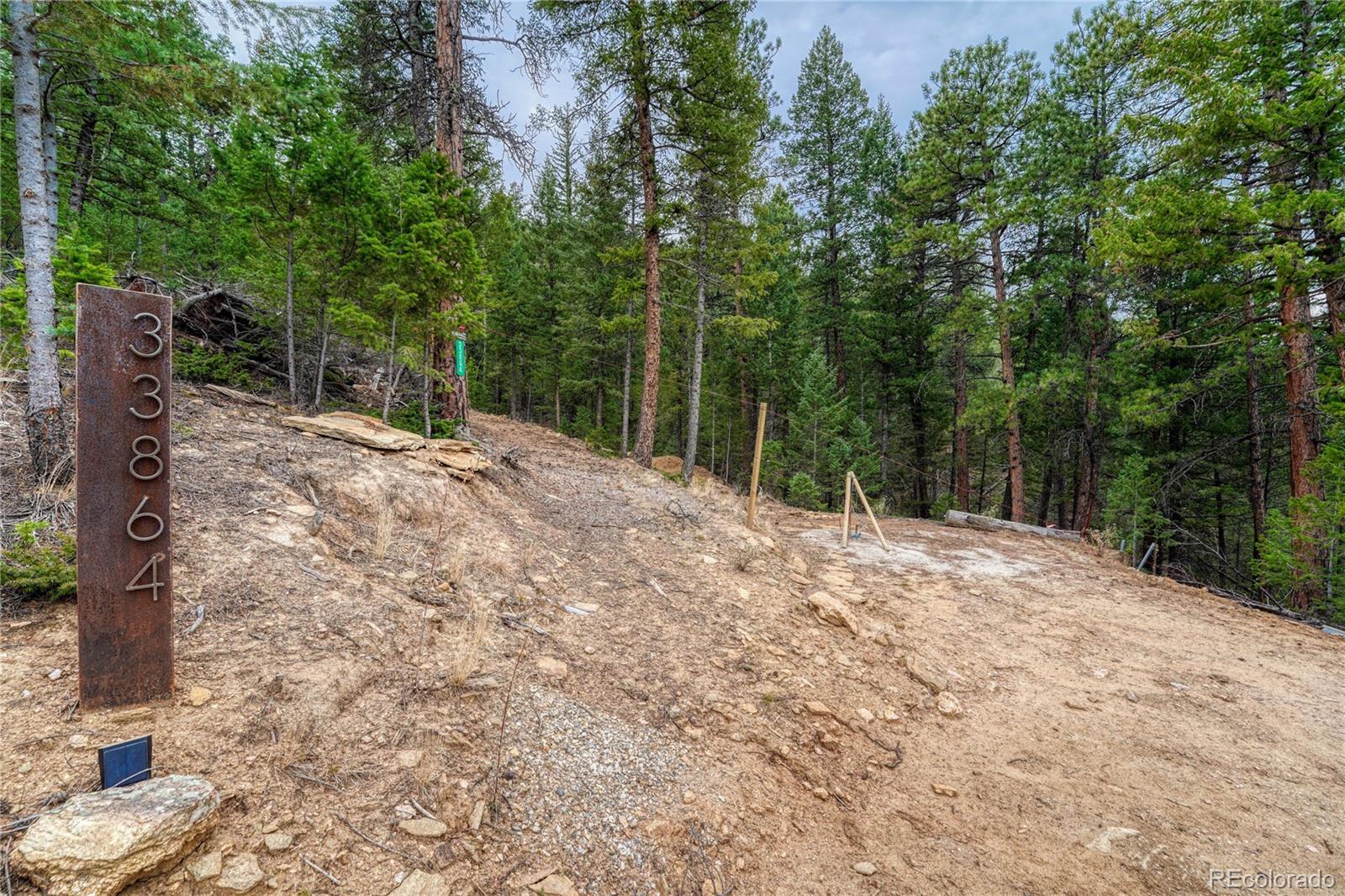33864 Bergen View Trail Evergreen, CO 80439 - Photo 5 of 17 a backyard of a house with large trees and plants