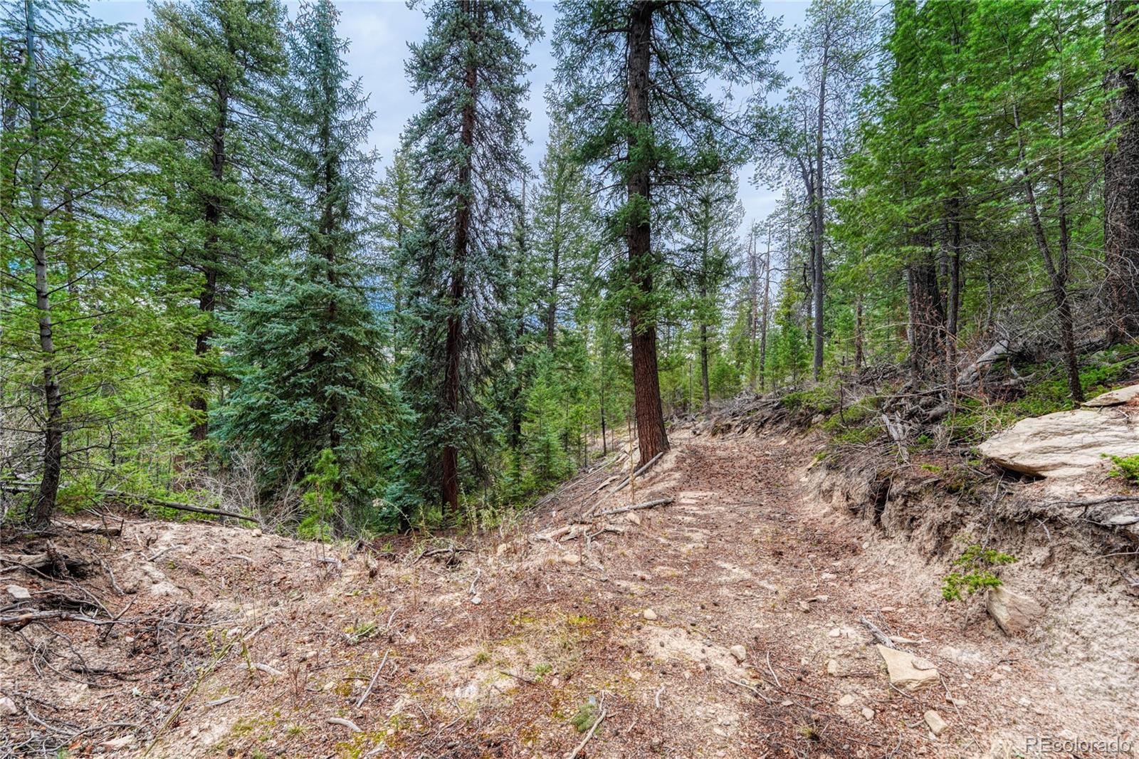 33864 Bergen View Trail Evergreen, CO 80439 - Photo 7 of 17 a big yard with lots of green space and fog