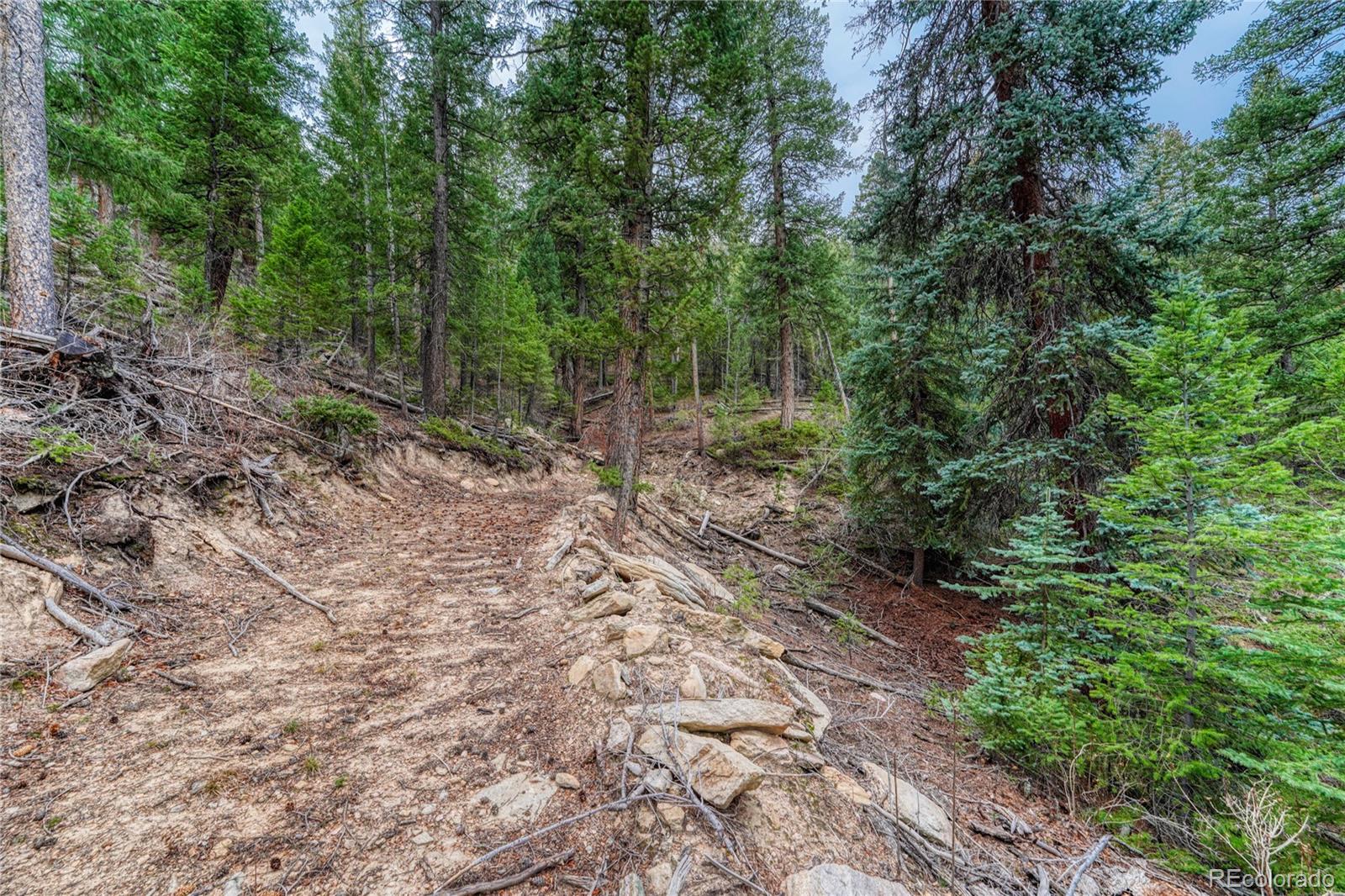 33864 Bergen View Trail Evergreen, CO 80439 - Photo 10 of 17 a big yard with lots of green space and deers