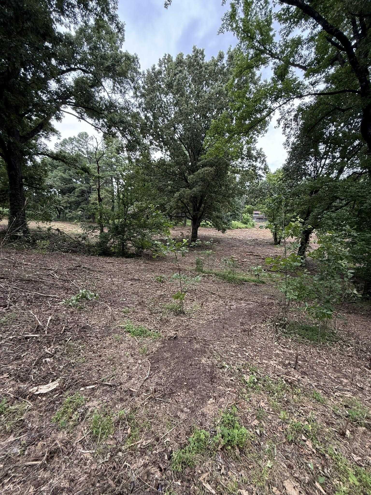 6760 Locke Road Millington, TN 38053 - Photo 38 of 39 Wooded parcel featuring mature trees and cleared ground