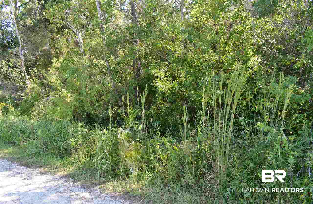 Lot 11 Bay Pines Road Elberta, AL 36530 - Photo 4 of 4