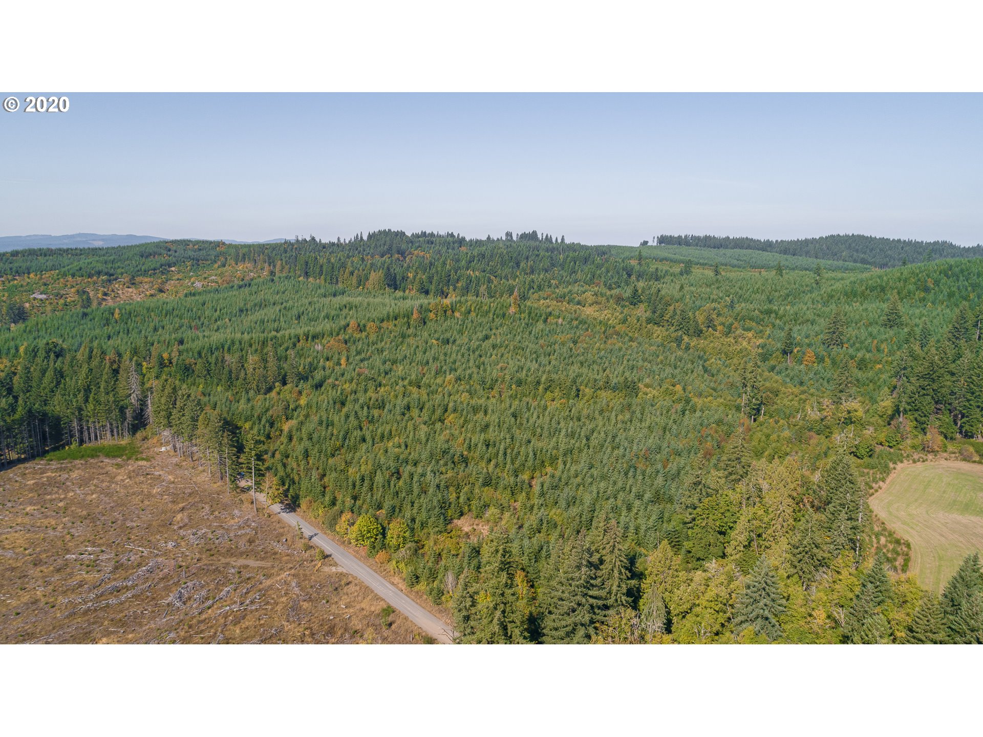55489 Northwest Strassel Road Forest Grove, OR 97116 - Photo 8 of 11 Gallery Image 8