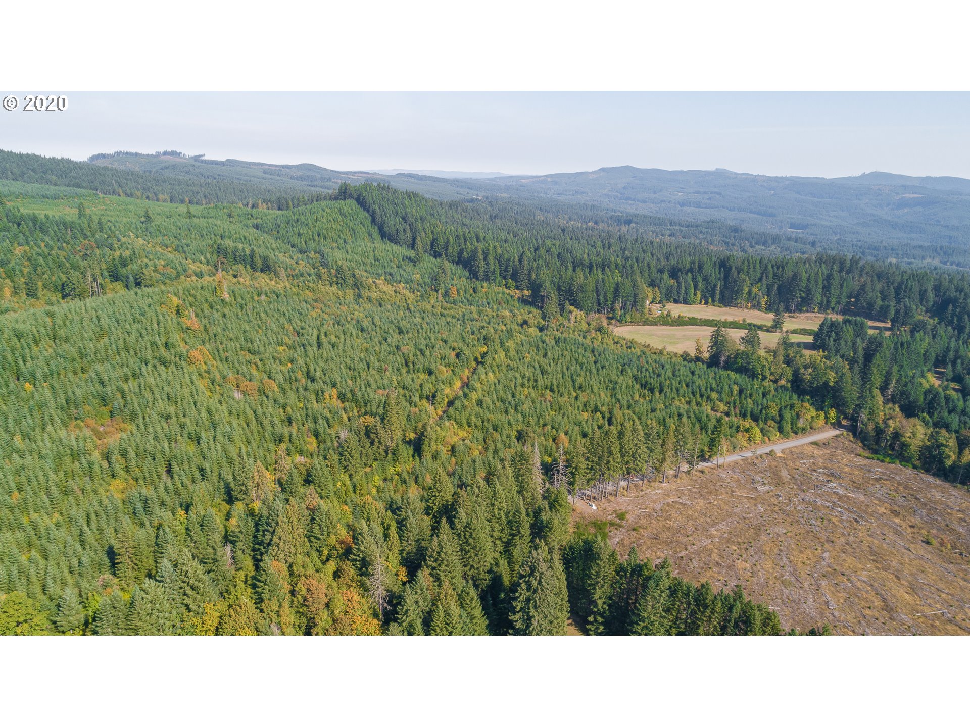 55489 Northwest Strassel Road Forest Grove, OR 97116 - Photo 9 of 11 Gallery Image 9
