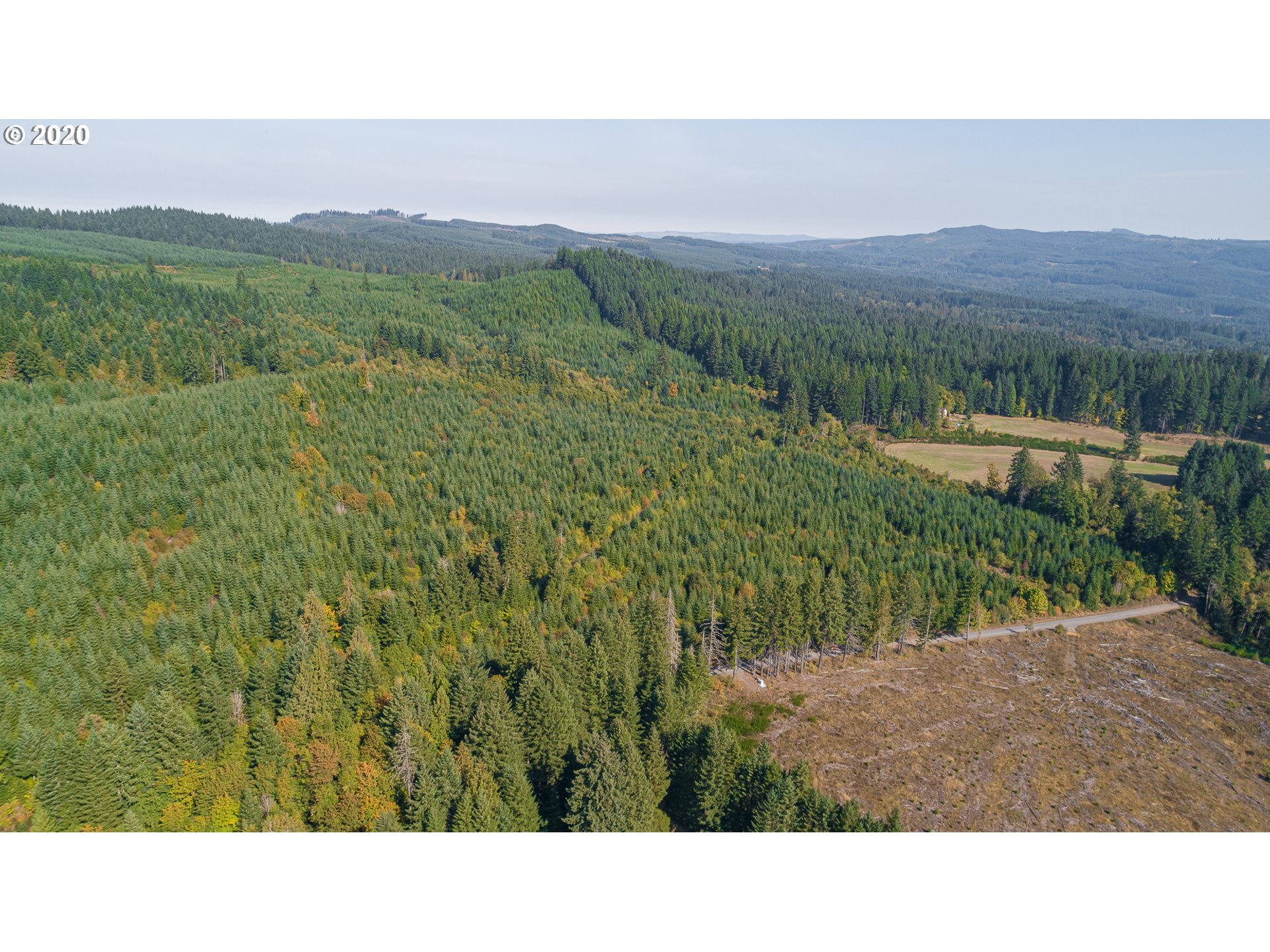55489 Northwest Strassel Road Forest Grove, OR 97116 - Photo 10 of 11 Gallery Image 10