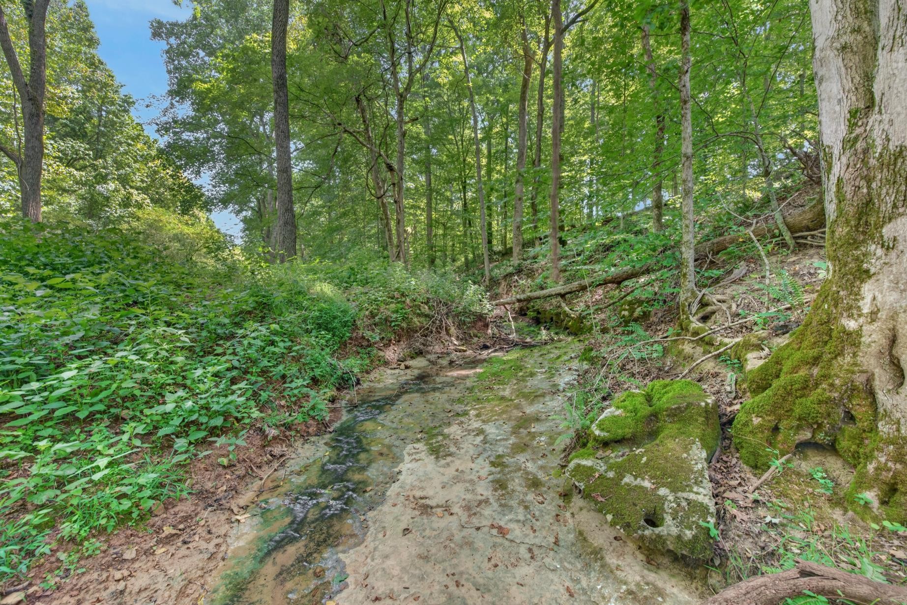 635 Houston Fielder Road Clarksville, TN 37043 - Photo 27 of 37 Gallery Image 27