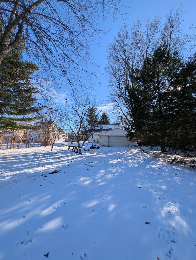 543 East 3rd Street El Paso, IL 61738 - Photo 21 of 21 a view of dirt yard with a large tree