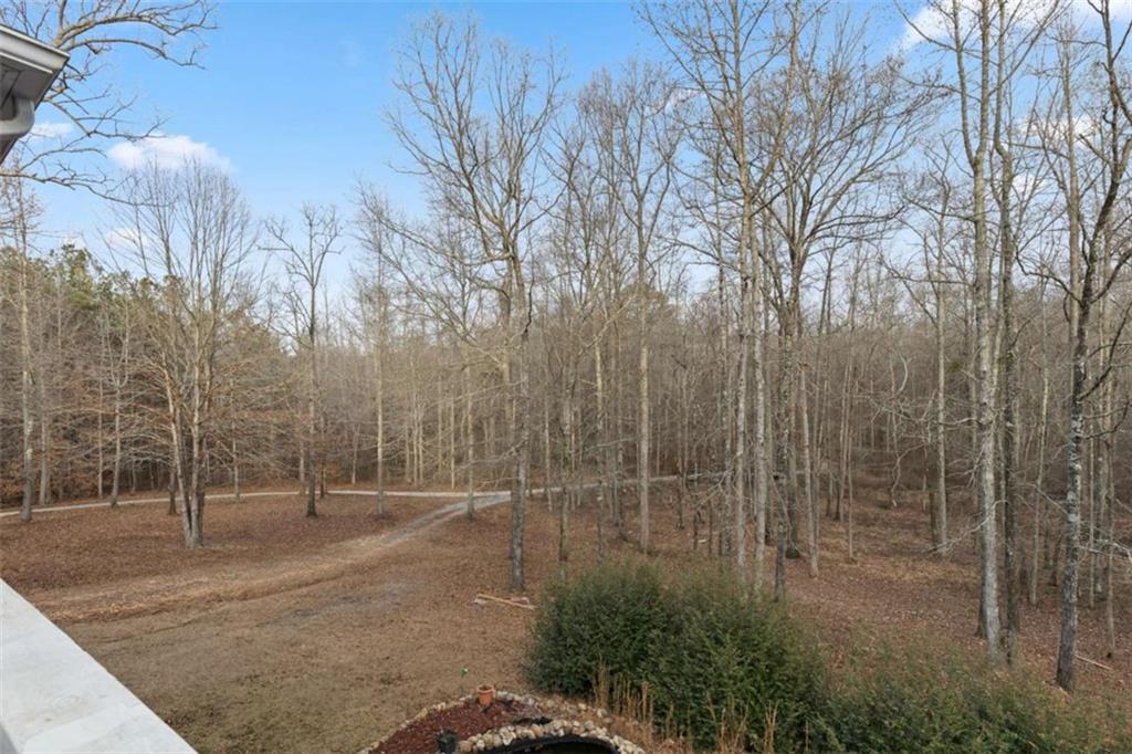 8399 East Carroll Road Whitesburg, GA 30185 - Photo 25 of 52 a view of a backyard