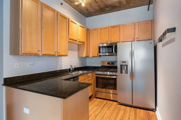 $2,000 | 1305 South Michigan Avenue, Unit 1209, Chicago, IL 60605