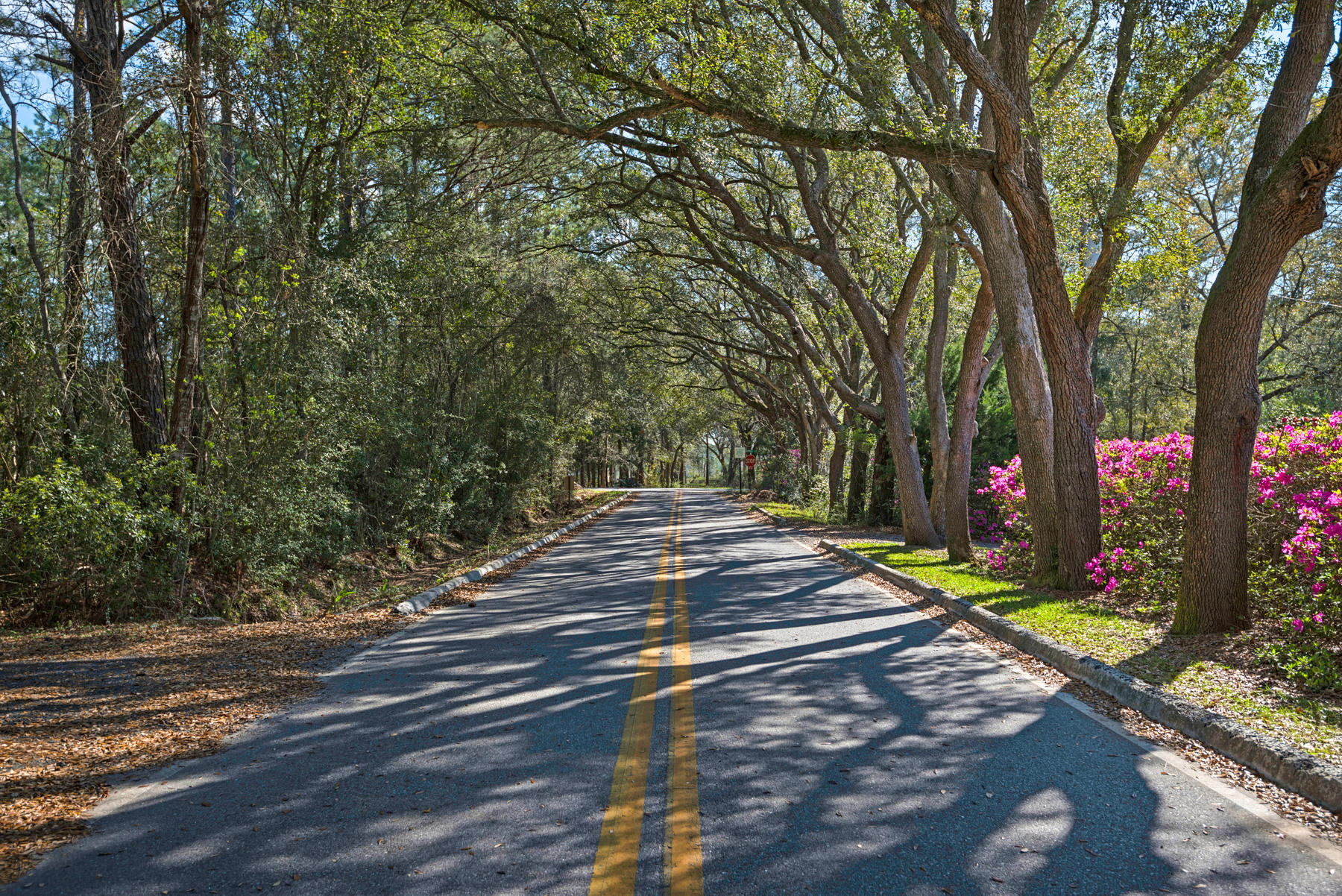 49 Miley Road Freeport, FL 32439 - Photo 3 of 47 Gallery Image 3