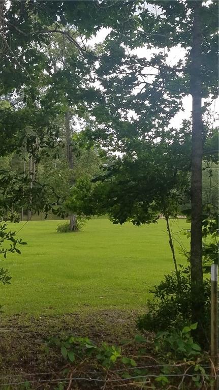 0 Fish Hatchery Road Forest Hill, LA 71430 - Photo 3 of 4 Gallery Image 3