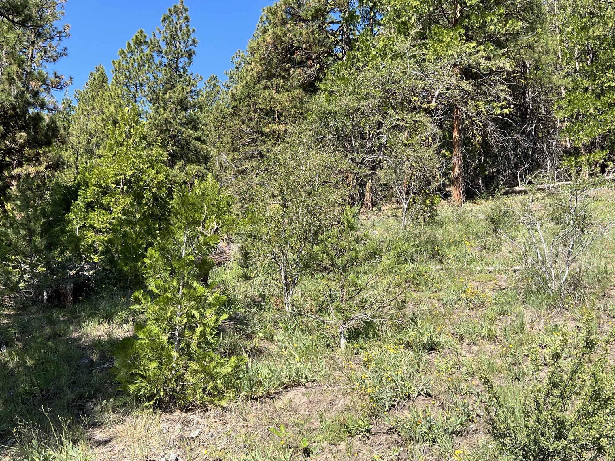 900 Drews Gap Road Lakeview, OR 97630 - Photo 23 of 50 IMG_5515