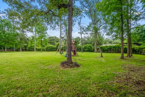 a view of a park with a tree