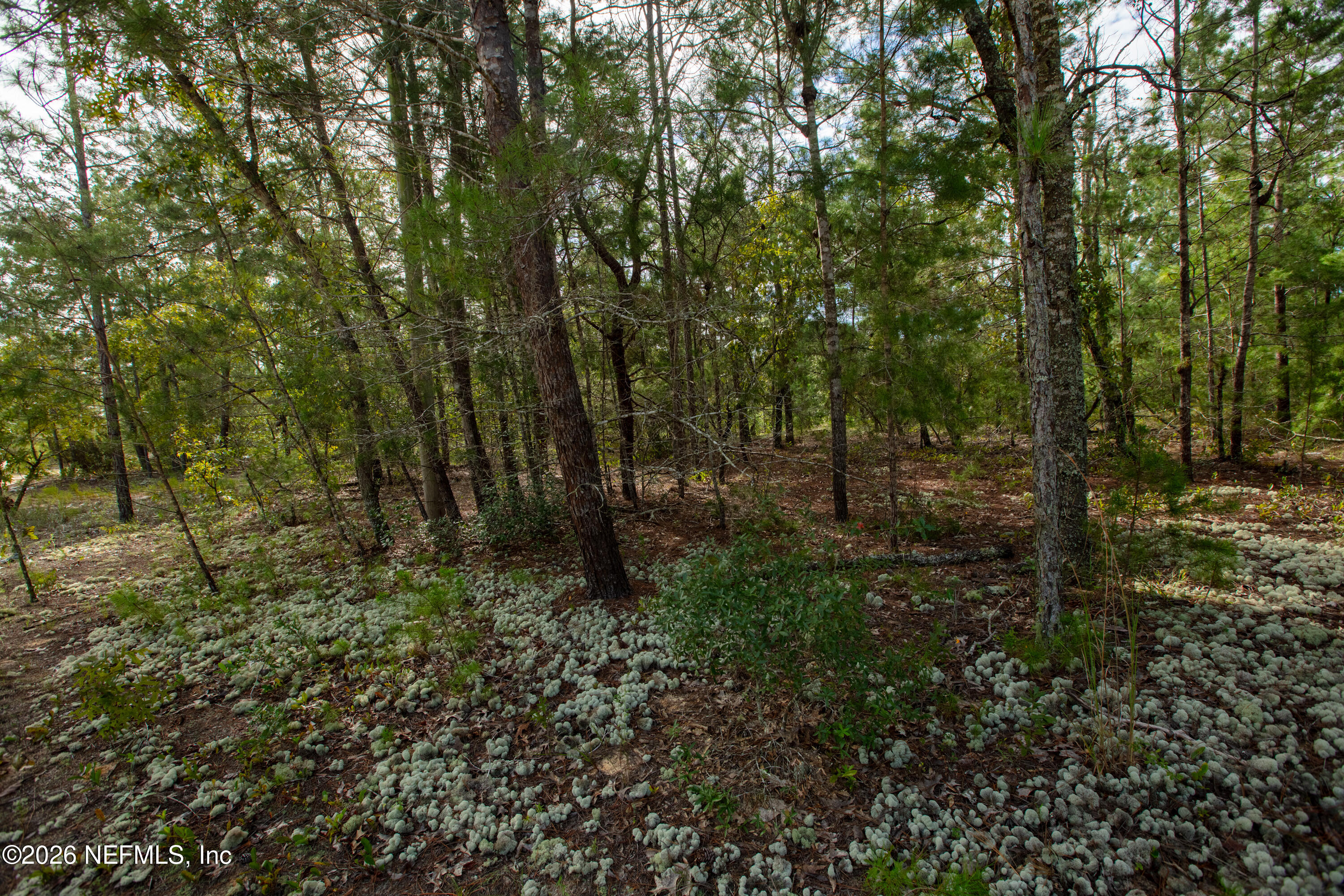 7225 Rutgers Street Keystone Heights, FL 32656 - Photo 13 of 13 7225Rutgers_MLS-13