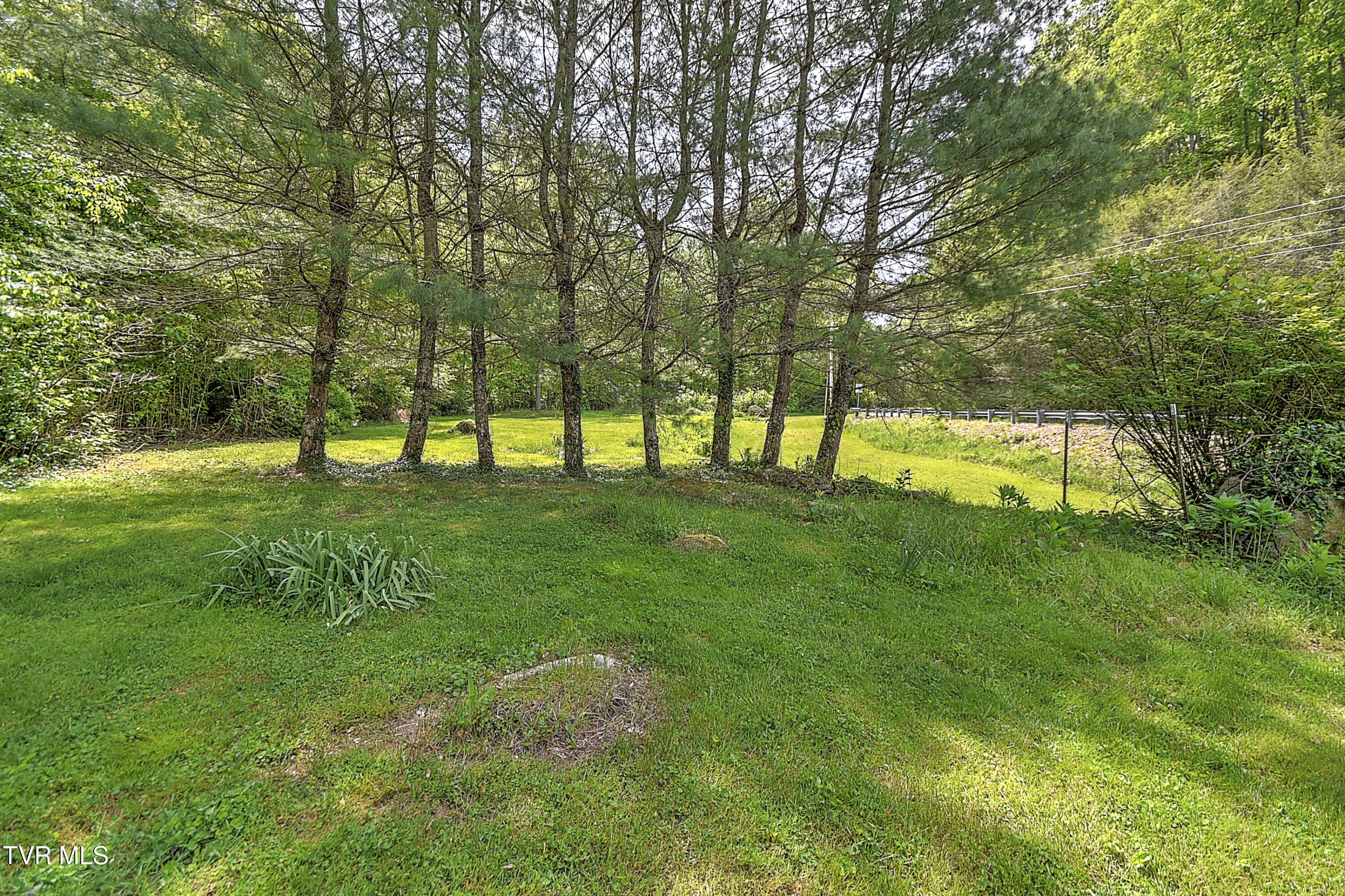 275 Tiger Creek Road Roan Mountain, TN 37687 - Photo 5 of 104 275 Tiger Creek EH-34