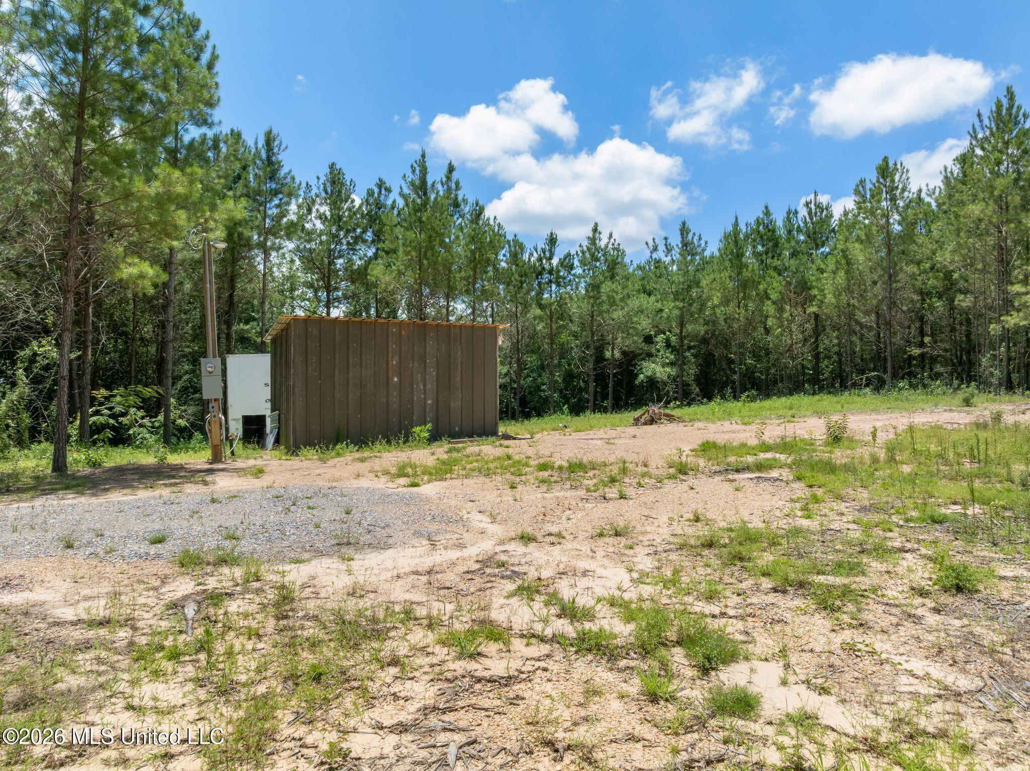 31-acres Ridgeland Road Bassfield, MS 39421 - Photo 6 of 27 85_Ridgeland_Rd-6
