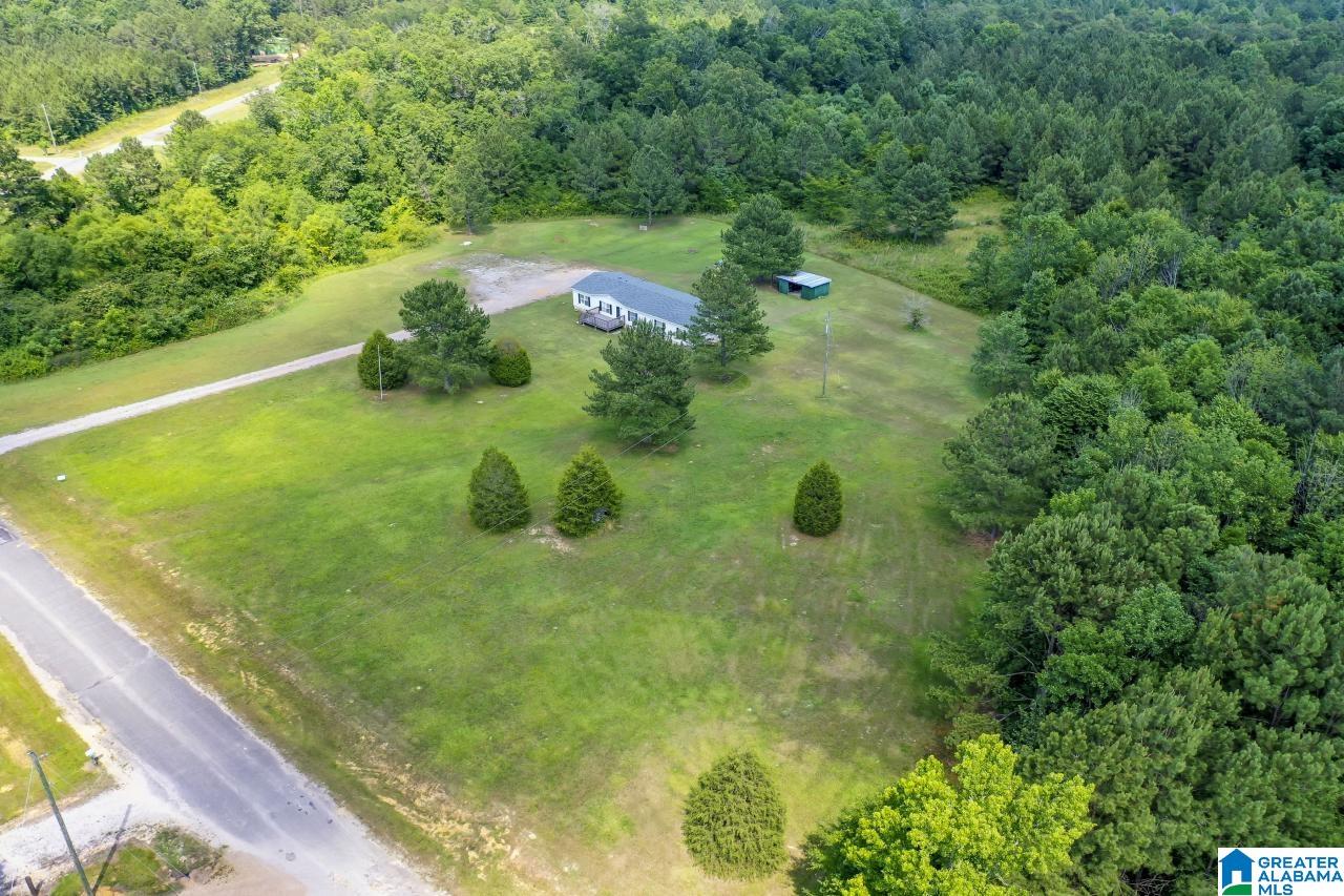 390 Stolle Farm Road Ashville, AL 35953 - Photo 28 of 35