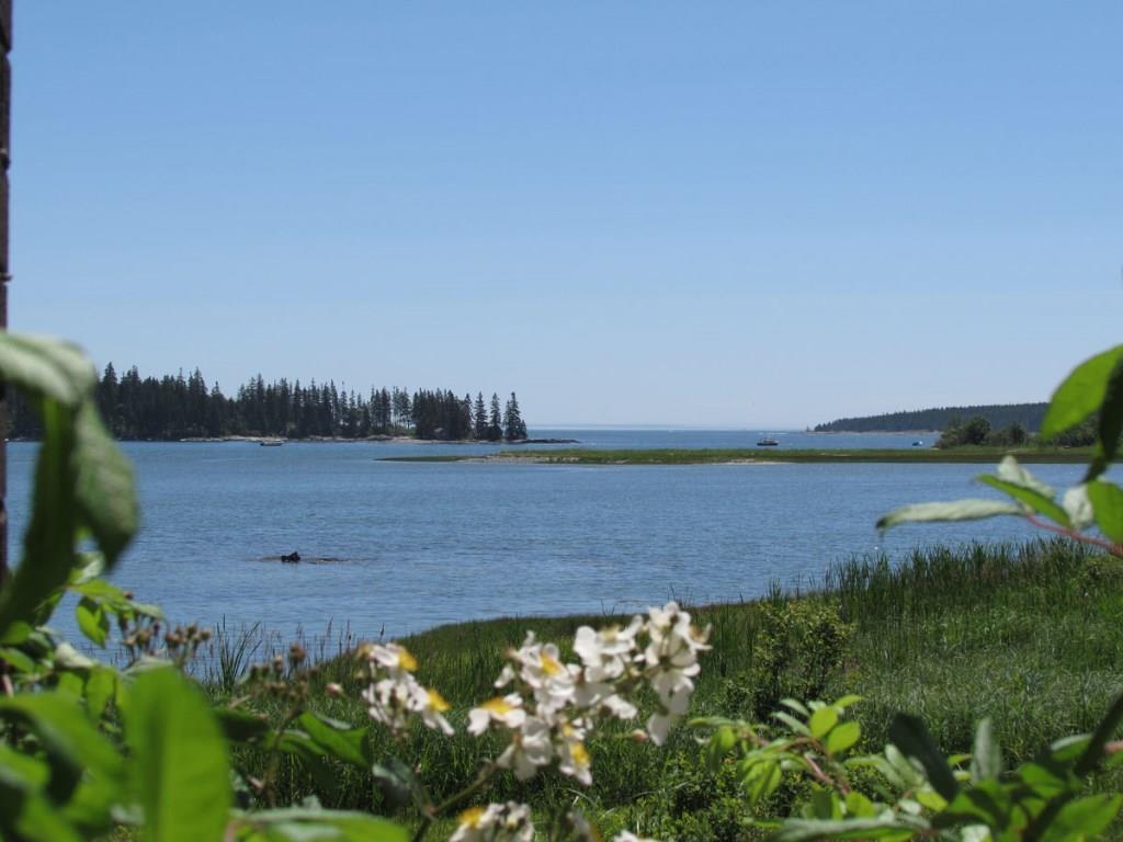 508 Port Clyde Road St. George, ME 04860 - Photo 5 of 20 Ocean Views