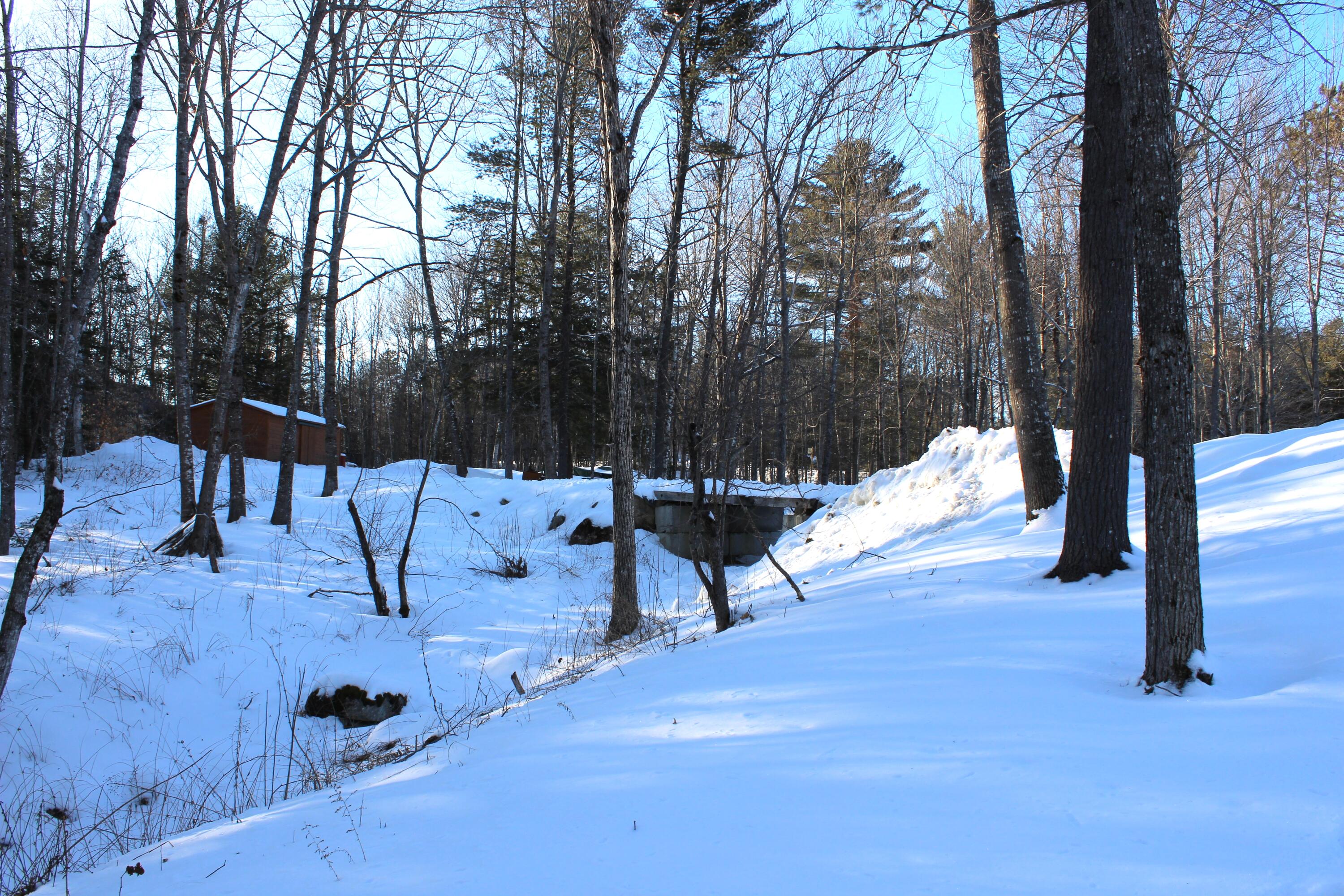 5 North Chester Road Chester, ME 04457 - Photo 26 of 107 Bridge to storage building