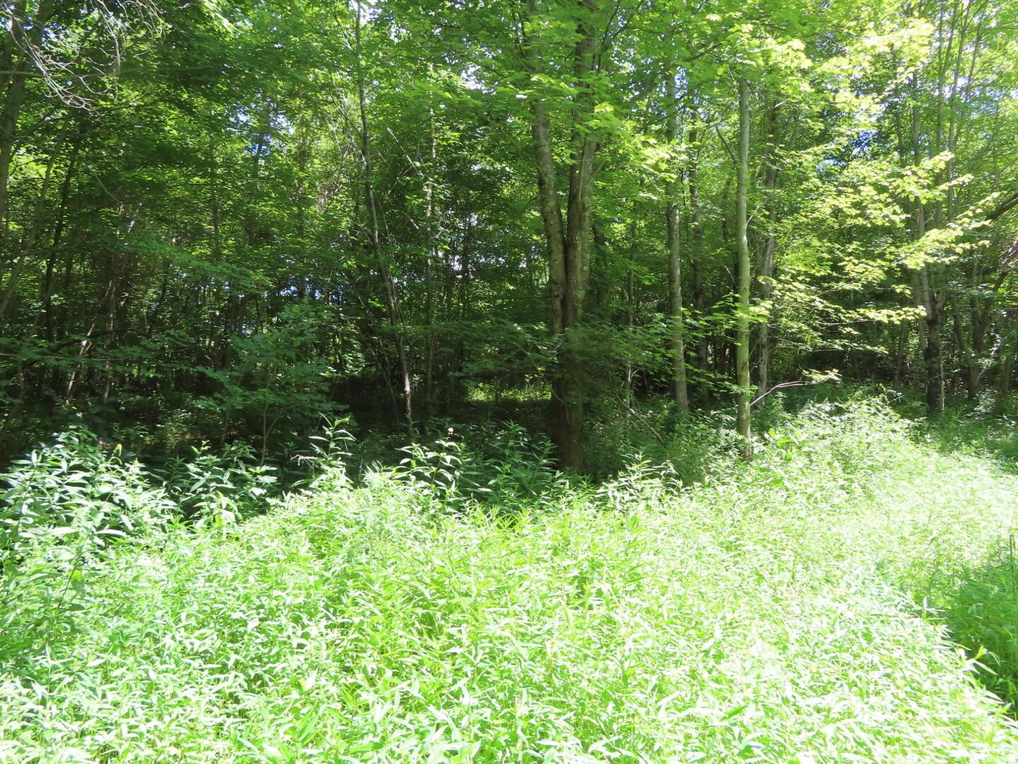 0 Petersburg Road Jackson, OH 45640 - Photo 16 of 16 0 Petersburg Rd