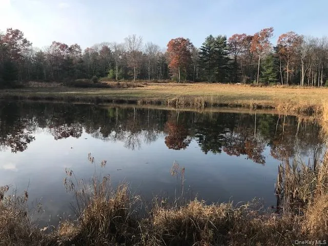 a view of lake with green space