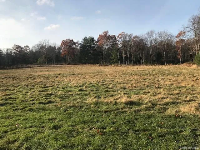 a view of a yard with trees
