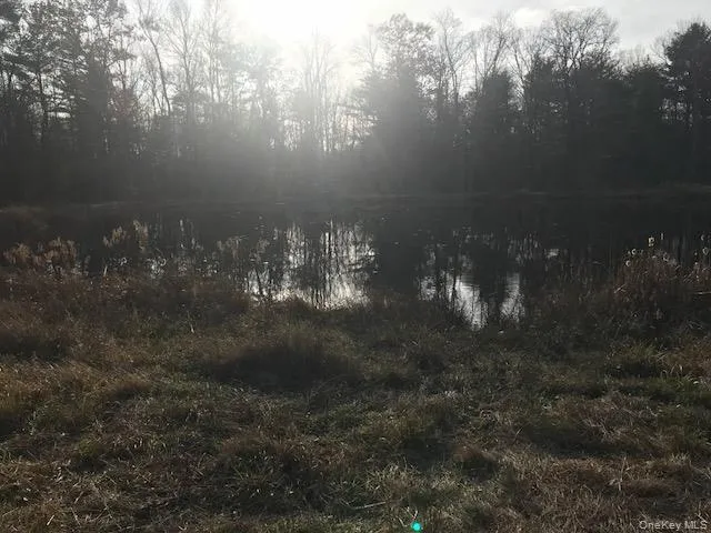 a view of a yard in a yard