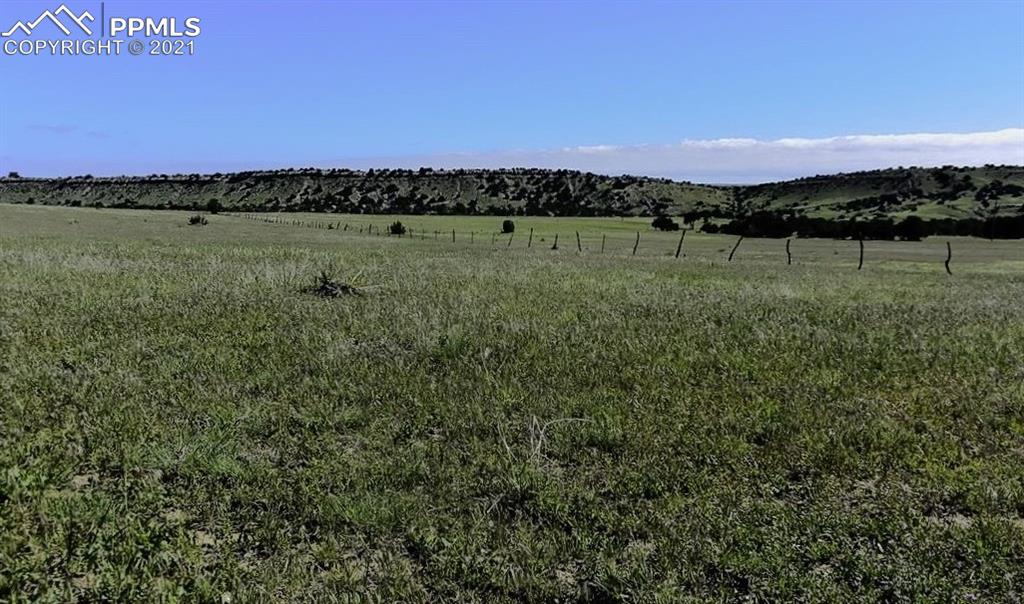 Tbd Lot 8 Pickney Road Rye, CO 81069 - Photo 3 of 16