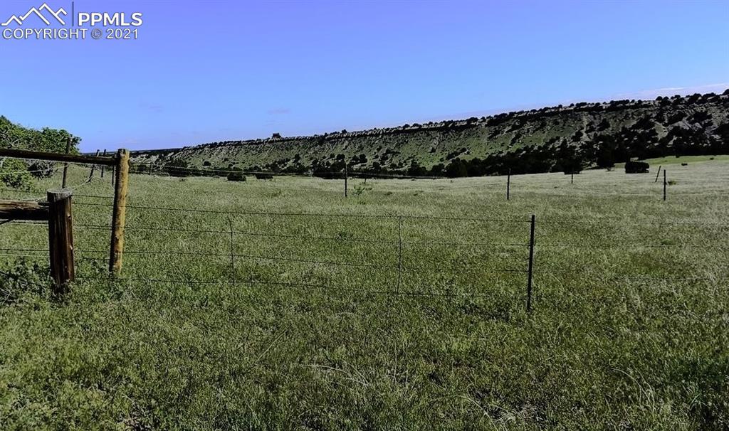 Tbd Lot 8 Pickney Road Rye, CO 81069 - Photo 8 of 16