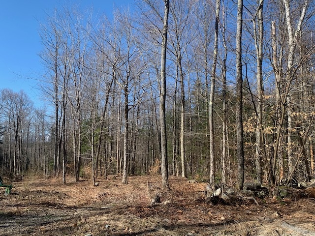 32 Old County Road East Landgrove, VT 05148 - Photo 31 of 32