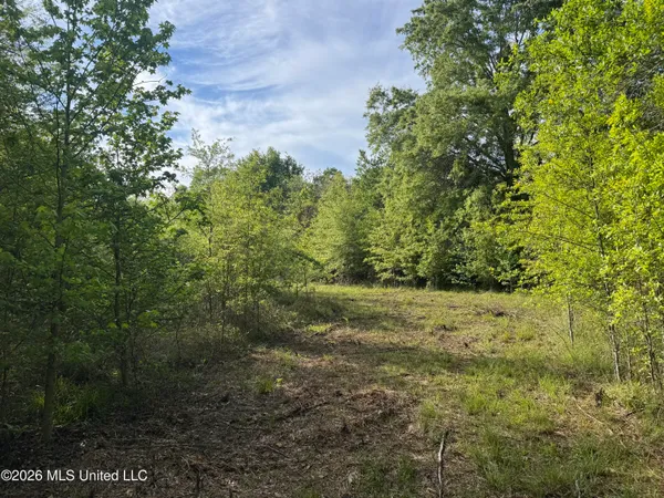 $255,000 | 1311 North Jackson Street, Brookhaven, MS 39601