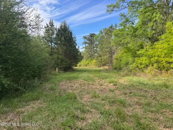 $255,000 | 1311 North Jackson Street, Brookhaven, MS 39601