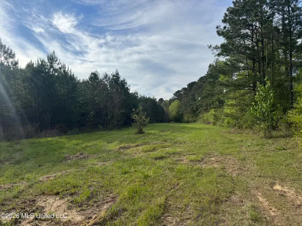 $255,000 | 1311 North Jackson Street, Brookhaven, MS 39601