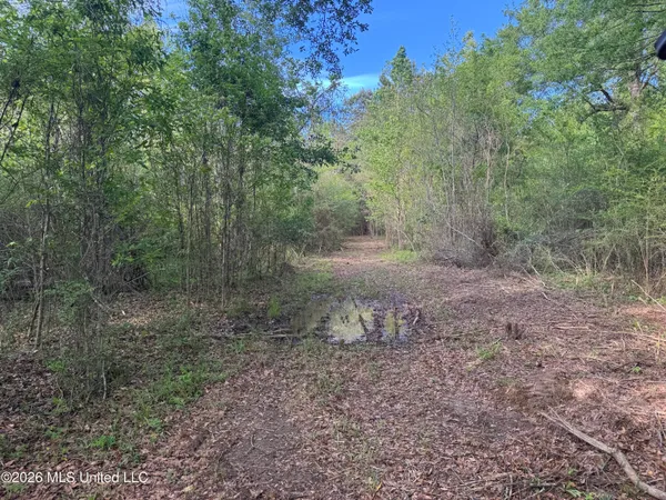 $255,000 | 1311 North Jackson Street, Brookhaven, MS 39601