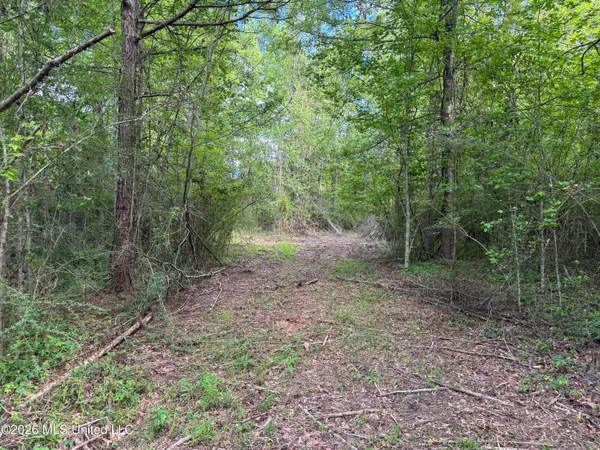 $255,000 | 1311 North Jackson Street, Brookhaven, MS 39601