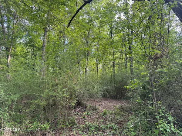 $255,000 | 1311 North Jackson Street, Brookhaven, MS 39601