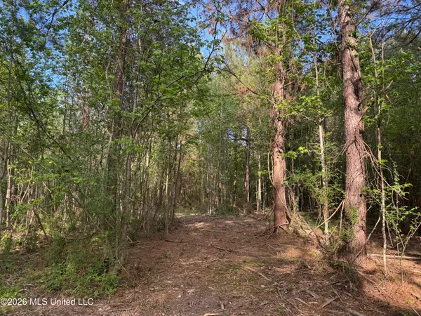 $255,000 | 1311 North Jackson Street, Brookhaven, MS 39601