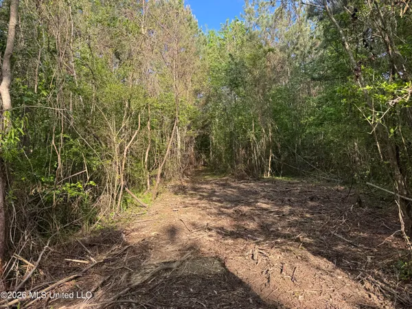 $255,000 | 1311 North Jackson Street, Brookhaven, MS 39601