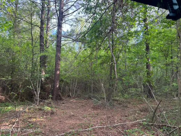 $255,000 | 1311 North Jackson Street, Brookhaven, MS 39601