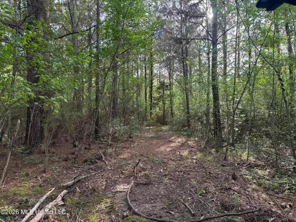 $255,000 | 1311 North Jackson Street, Brookhaven, MS 39601