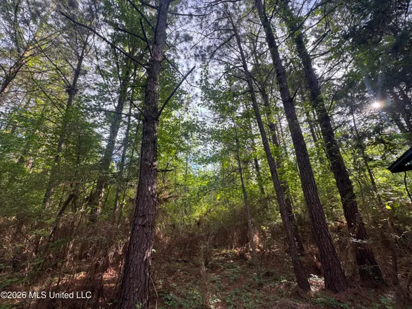 $255,000 | 1311 North Jackson Street, Brookhaven, MS 39601