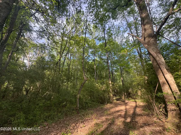 $255,000 | 1311 North Jackson Street, Brookhaven, MS 39601