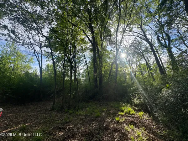 $255,000 | 1311 North Jackson Street, Brookhaven, MS 39601