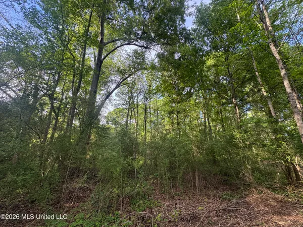 $255,000 | 1311 North Jackson Street, Brookhaven, MS 39601