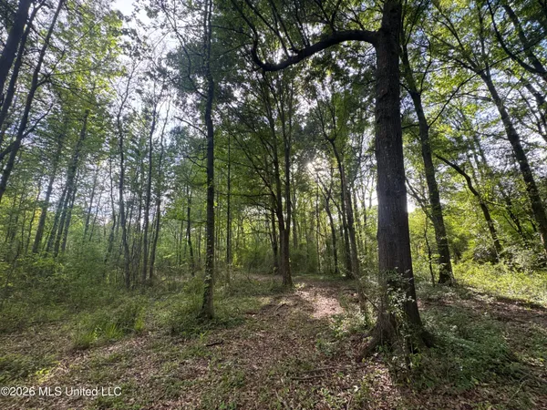 $255,000 | 1311 North Jackson Street, Brookhaven, MS 39601